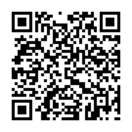 QR code for 599XIM