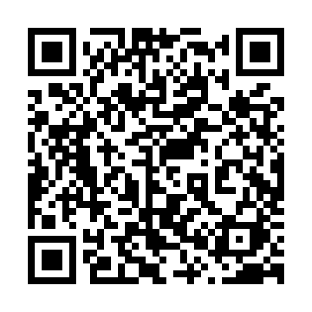QR code for 600MZI
