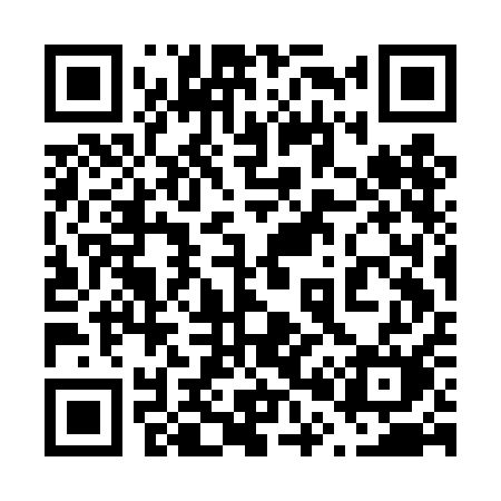 QR code for 603DAM