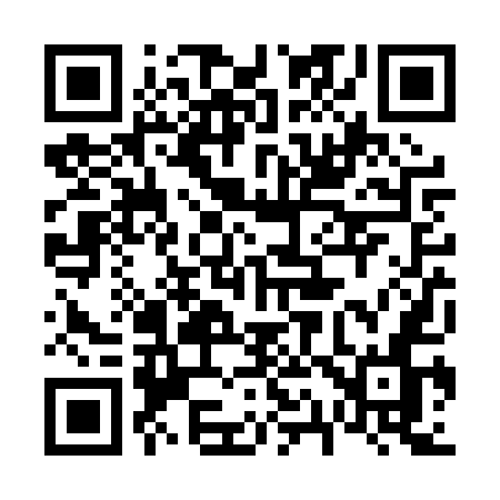 QR code for 612PUN