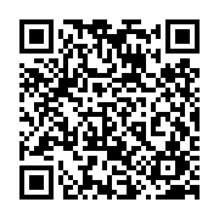 QR code for 613DSN