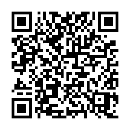 QR code for 613VIP