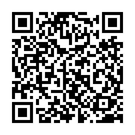 QR code for 638NYX