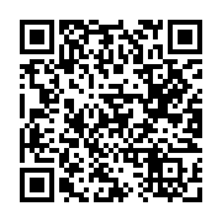 QR code for 639INS