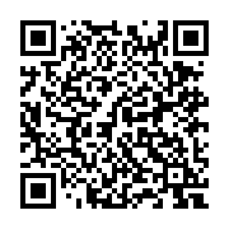 QR code for 641DII