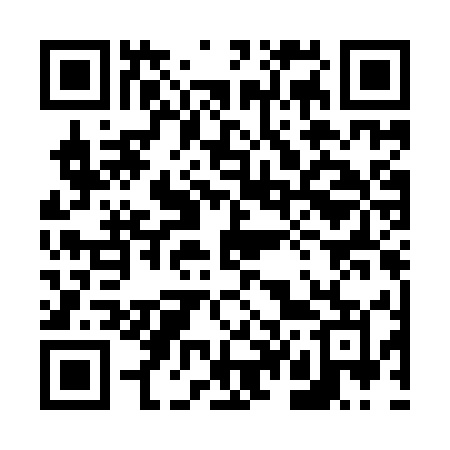 QR code for 641IUM
