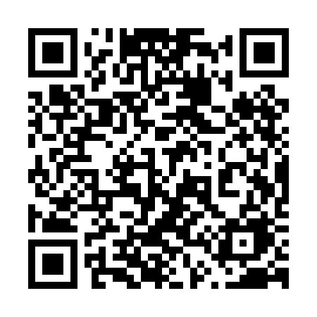 QR code for 641PBE