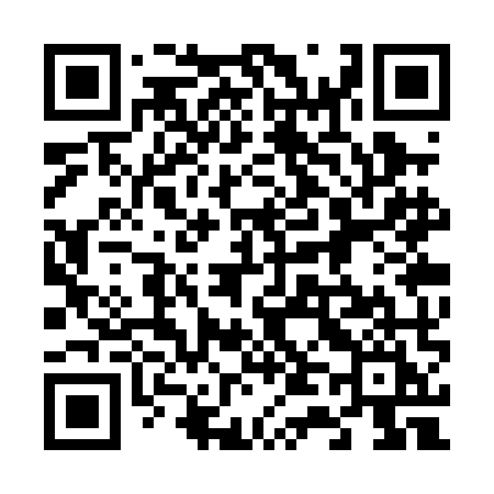 QR code for 643PMI