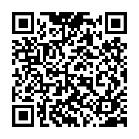 QR code for 647DQL