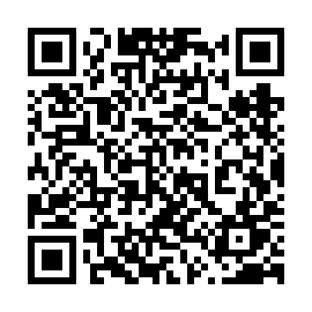 QR code for 647VIT