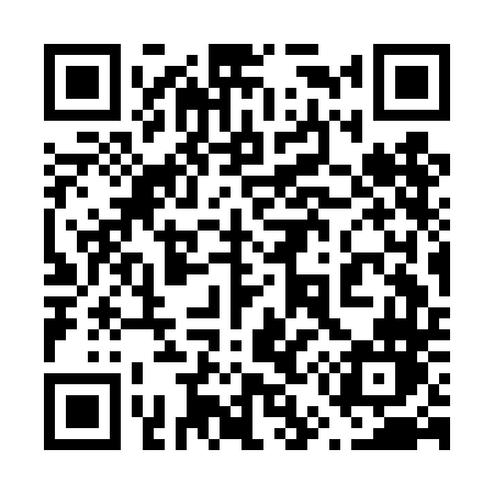 QR code for 653DDN