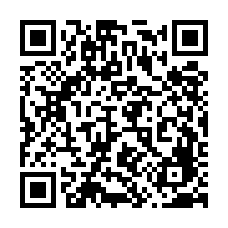 QR code for 653EFF