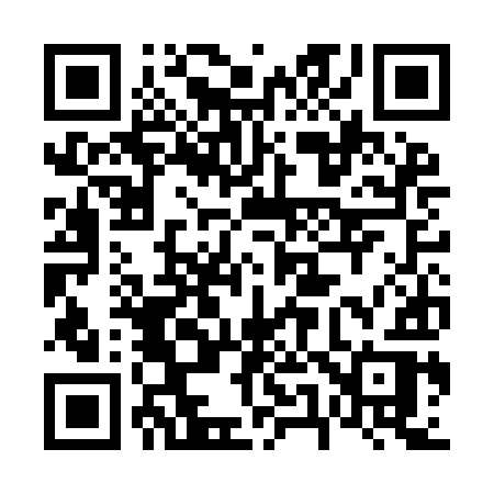 QR code for 653IIR