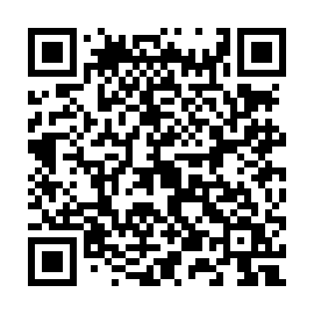 QR code for 653LAV