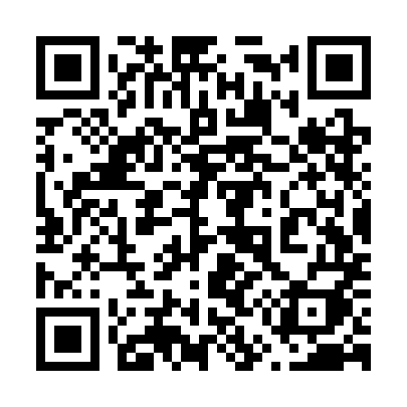 QR code for 653SMI