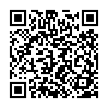 QR code for 655DTK