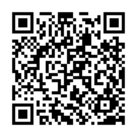 QR code for 655SKN