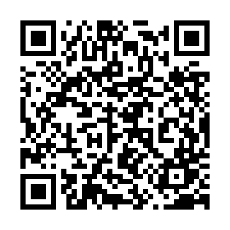 QR code for 655ZTT