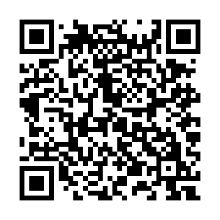 QR code for 656DAO