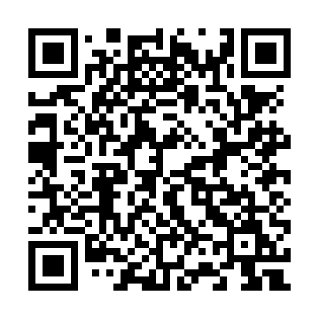 QR code for 660NEM