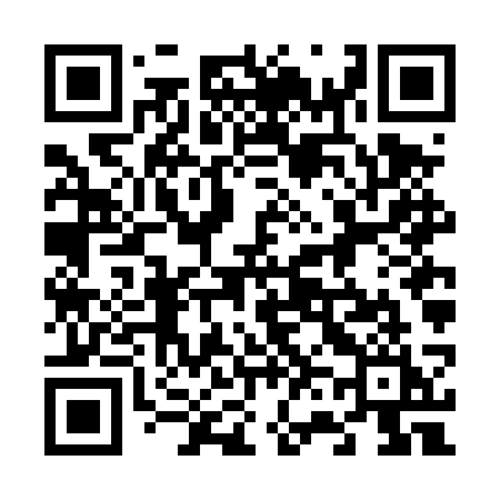 QR code for 666DSI