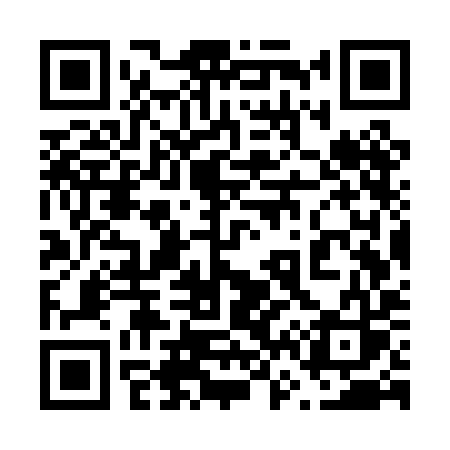 QR code for 667PIS