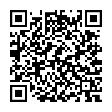 QR code for 667TOX