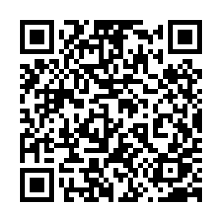 QR code for 673PPP
