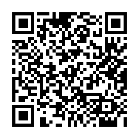 QR code for 690PIZ