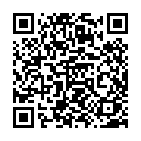 QR code for 690PZQ