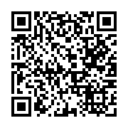 QR code for 696INN