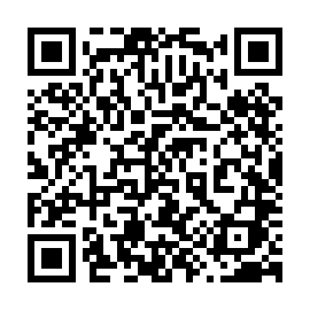 QR code for 696PLI