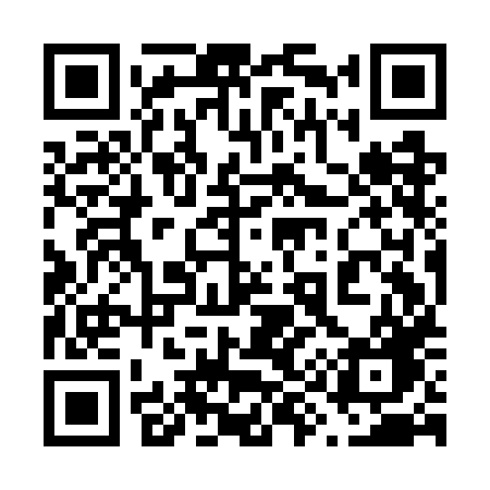 QR code for 699GHG