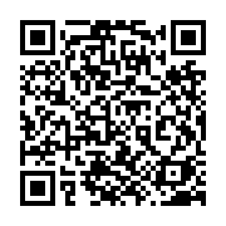 QR code for 699NSI
