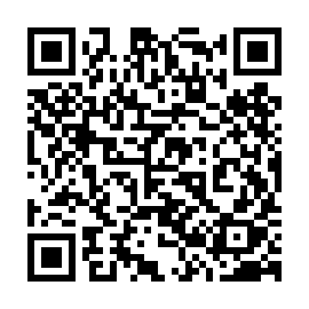 QR code for 729DIX