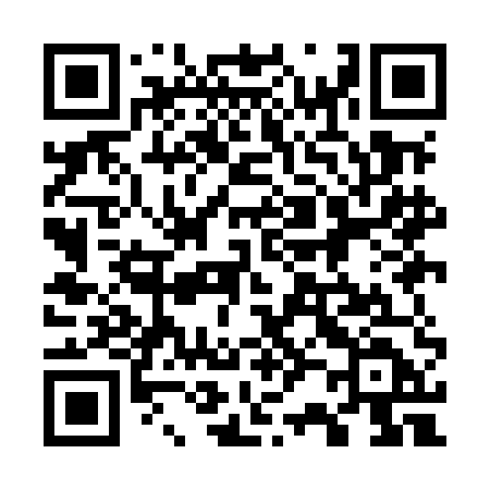 QR code for 729MED