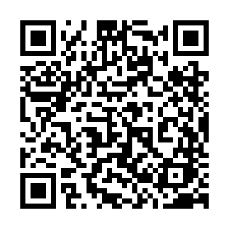 QR code for 729SNK