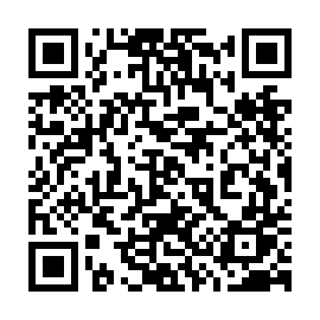 QR code for 737NDP