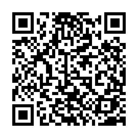 QR code for 738AOH
