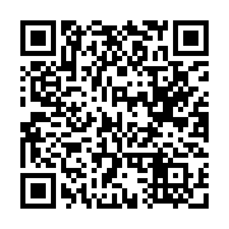 QR code for 738ISS