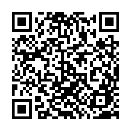 QR code for 738SUB