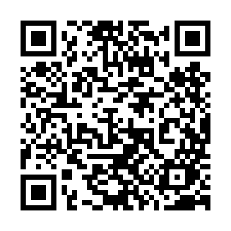 QR code for 738TMO