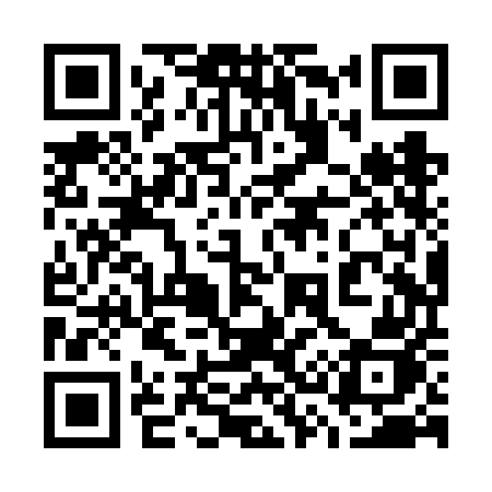 QR code for 738VEJ
