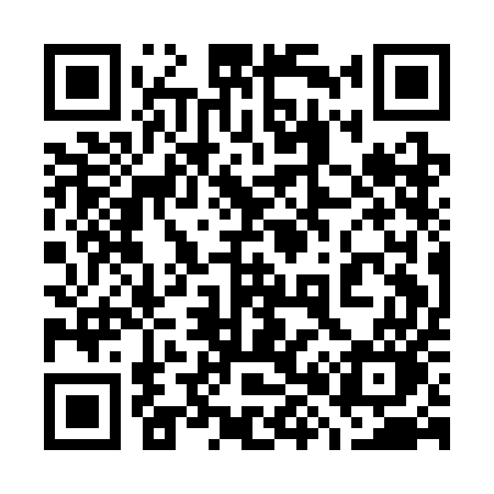 QR code for 781CEO