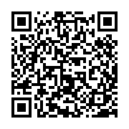 QR code for 810PIS