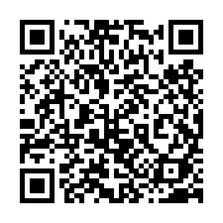 QR code for 838DYI