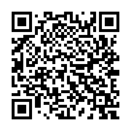 QR code for 838YYT
