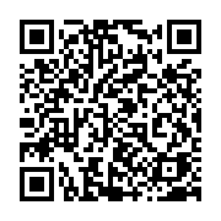 QR code for 863MSA