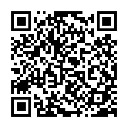 QR code for 868DPI