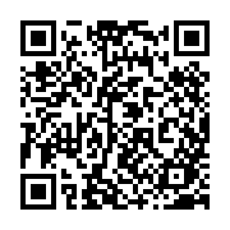 QR code for 868PHO